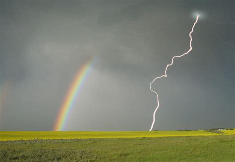 Two Of The Most Beautiful Things In Nature Photograph By Phil And Karen