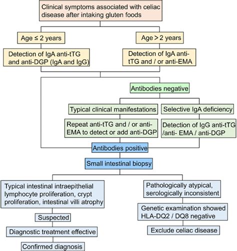 Diagnosis Process Of Celiac Disease Download Scientific Diagram