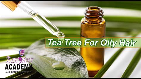 Tea Tree Oil For Oily Hair Youtube