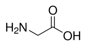 Kreslen Zkou Ka Biochemie Flashcards Quizlet