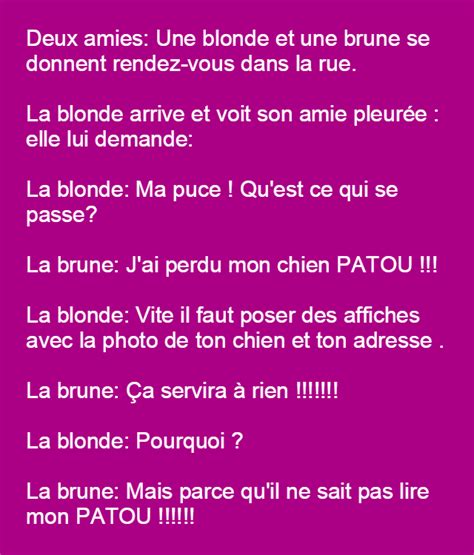 Une Blonde Et Une Brune Blagues Droles