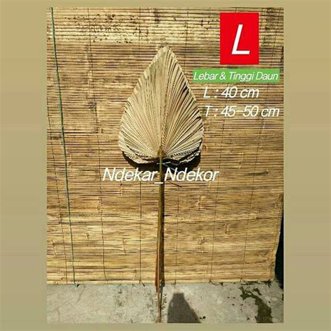 Jual Dried Palm Daun Kering Daun Palem Daun Rustic Shopee