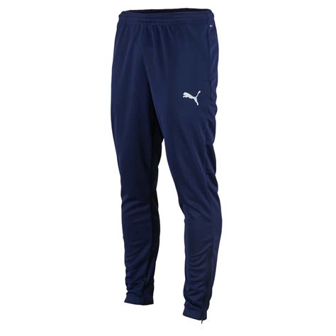 Puma Herren Trainingshose TeamRISE Poly Training Pants 657390