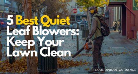 5 Best Quiet Leaf Blowers Buyers Guide Soundproofguidance