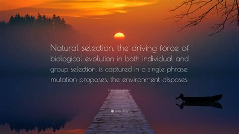 Edward O Wilson Quote Natural Selection The Driving Force Of