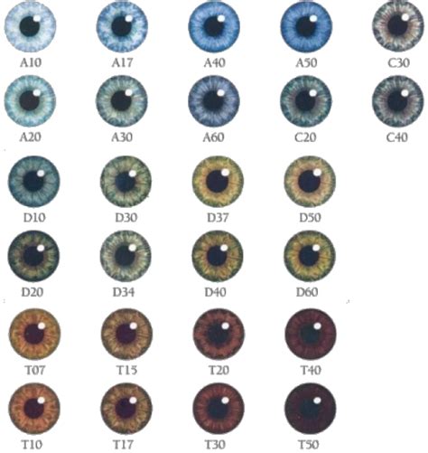 human eye color chart google search eye color chart eye color - pin on eyes | eye colour making ...