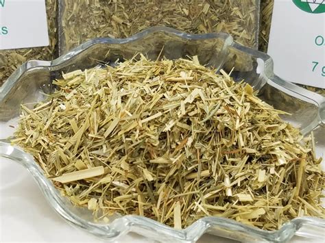 Oat Straw Herb The Best Herbs To Buy At In Spyrit Metaphysical