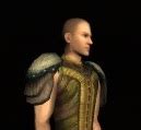 Item Ceremonial Leijona Shoulder Guards Lotro Wiki