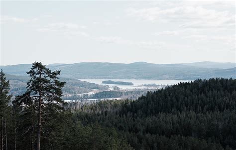 View Of Swedish Mountains And Lakes Photograph by Cavan Images - Fine ...