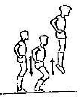 Ejemplo De Salto Vertical En Plataforma De Salto Squat Jump SJ Y