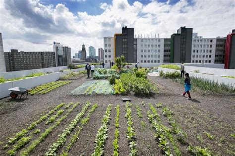 Urban Farming Strategies For A Greener Future DirectIndustry E Magazine