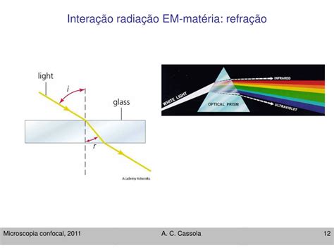 Ppt Microscopia Confocal Teoria E T Cnica Powerpoint Presentation