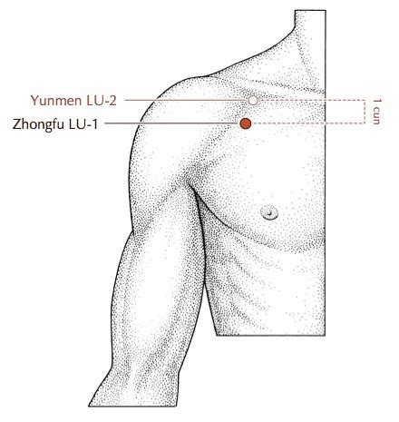 Acupuncture Points Lung TaiYin Channel Flashcards Quizlet