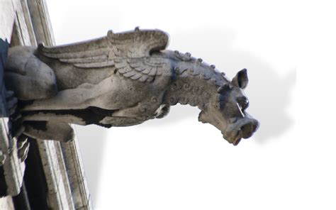 Gargoyle Statues: The Story Behind the Evil & what they are — CHELSIDERMY | Oddities, bones, art ...