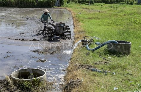 Air Sumur Untuk Irigasi Sawah Di Lombok Barat Antara Foto