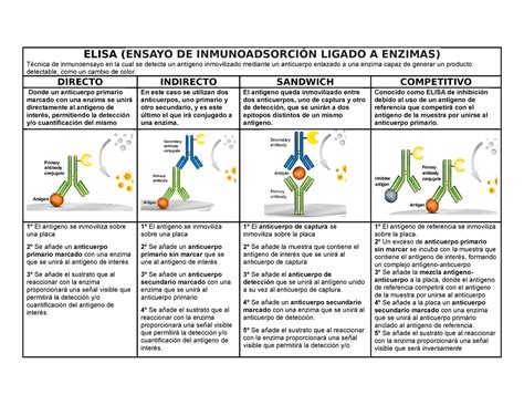 Elisas Elisa Ensayo De Inmunoadsorci N Ligado A Enzimas T Cnica De