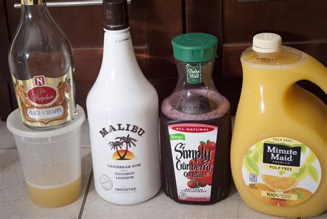 Drink Recipes With Coconut Rum And Peach Schnapps Bryont Blog