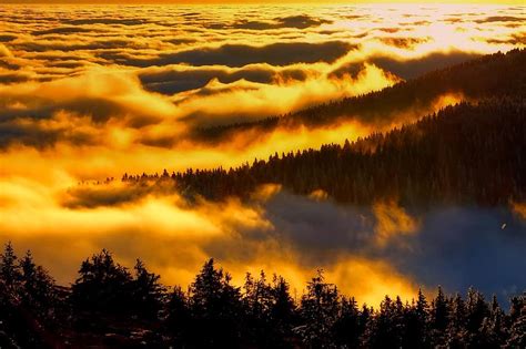 Czech Republic Landscape Scenic Silhouettes Sunrise Dawn Morning