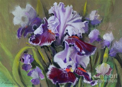 Garden Of Iris Painting By Patty Strubinger Fine Art America