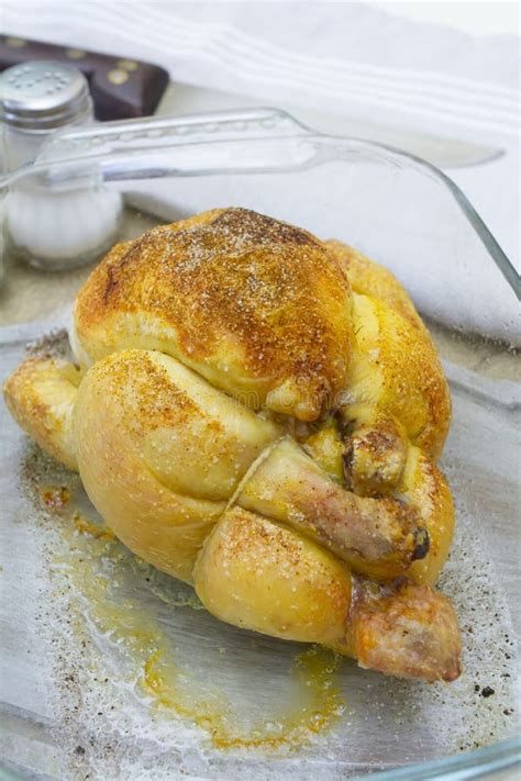 Oven roasted chicken stock image. Image of white, aliment - 196001615