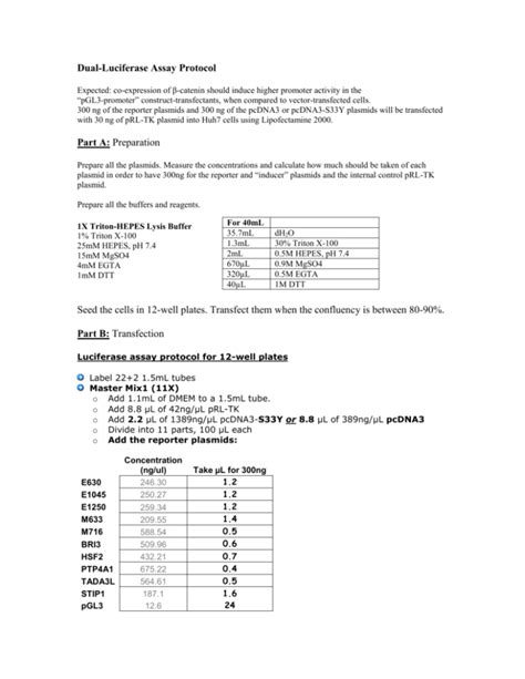 Luciferase Assay Protocol with Promega`s Kit.