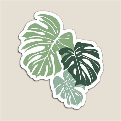 Monstera Leaves Magnet For Sale By Kaylasbubble Aesthetic Stickers