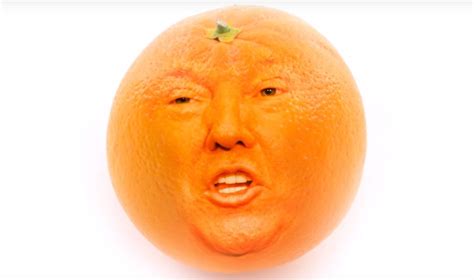 White House Invents New Word to Cover for Trump: Transcript Claims He Said ‘Oringes,’ Not ‘Oranges’