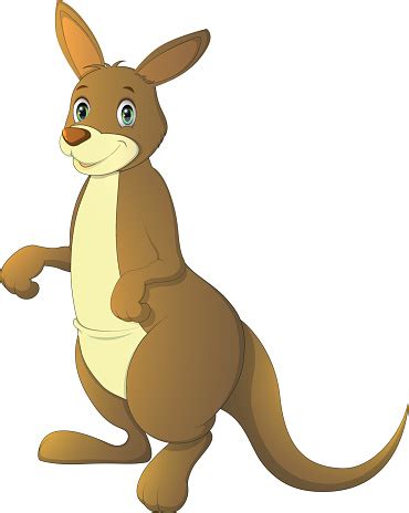 Vector Illustration Adult Kangaroo Stock Illustration Download Image