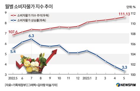 하반기 경제전망 소비자물가 2대 안정 기대장마·추석 밥상물가 급등 변수 블록미디어