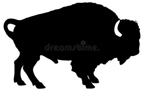 American Bison Silhouette Stock Vector Illustration Of Protected