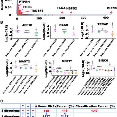 Different Expression Changes For CircRNAs From The Same Linear RNA A