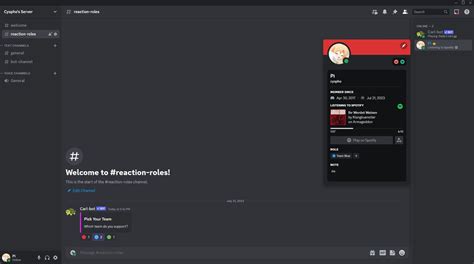How To Make Reaction Roles On Discord Using Carl
