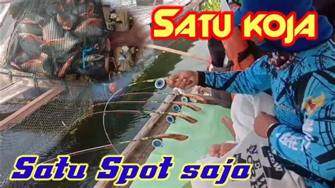 SATU KOJA SATU SPOT SAJA MANCING KJA CIRATA TERBARU 2024