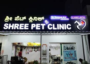 5 Best Veterinary Hospitals In Mysore KA 5BestINcity