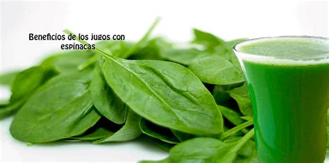 Beneficios De Los Jugos Con Espinacas Web De La Belleza Femenina