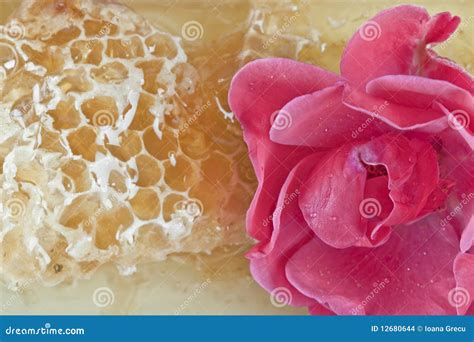 Natural honey stock photo. Image of food, honey, flower - 12680644