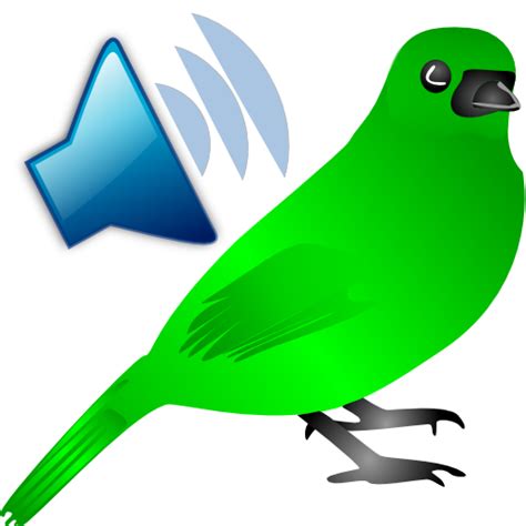 Birds Calls Sounds - Apps on Google Play