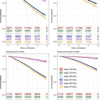 Age Specific Survival Curves And 95 CI Band Under Different Age Groups