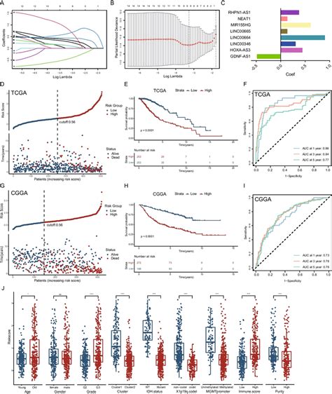 Construction Of M6A M5C Related LncRNAs Prognostic Signature A B 8