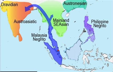 Prehistoric Human Migration In Southeast Asia Driven By Sea-Level Rise ...