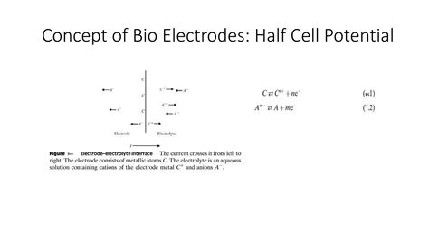 Bio Potential Generation And Bio Electrode Pptx