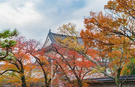 Osaka Temple Pagoda with Red Maple Leaves or Fall Foliage with Branches ...