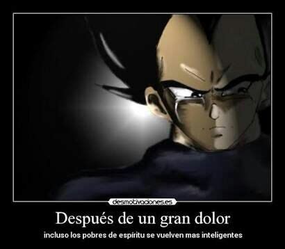 Frases Del Pr Ncipe Vegeta Dragon Ball Espa Ol Amino