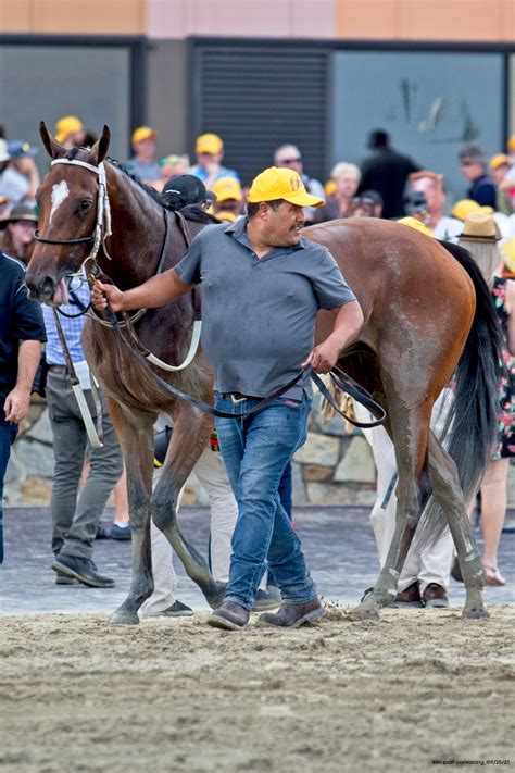 Parx Racing - 2022 betPARX Pennsylvania Derby • Cotillion