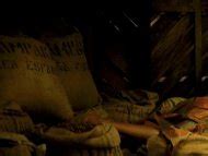 Naked Berta Vázquez in Palmeras en la nieve