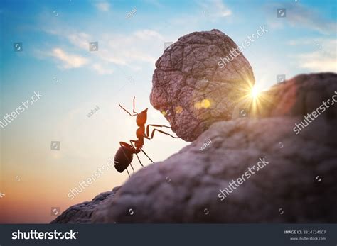 Ant Uphill Images Stock Photos Vectors Shutterstock