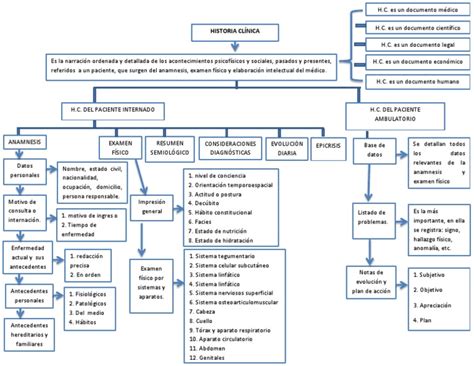 Mapa Conceptual De Historia Clínica Historial Médico Examen Físico