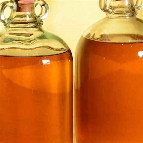 Honey Mead Recipe (an easy one-gallon recipe) - Fermenters Kitchen