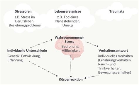 Stress Definition Warnsignale Ursachen Und Folgen