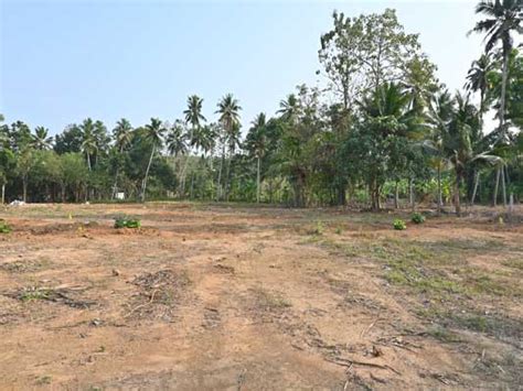 House Plots For Sale At Thirumala Thrikkanapuram Trivandrum Real Estate